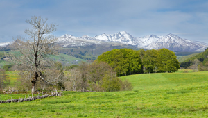 Graphiste Mont-de-Marsan